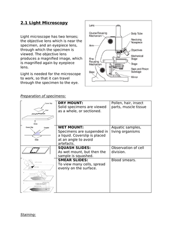 docx, 618.98 KB