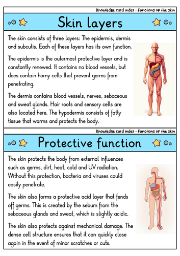 Functions of the Skin - Flashcards | Biology | Protection, Regulation ...