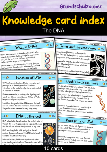 DNA - Flashcards | Biology | Structure, Function & Genetic Information ...