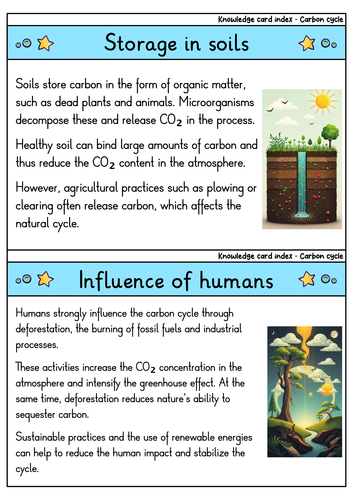 Carbon Cycle - Flashcards | Biology | Processes, Importance ...