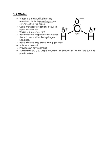 3.2 Water (A-level notes for OCR)