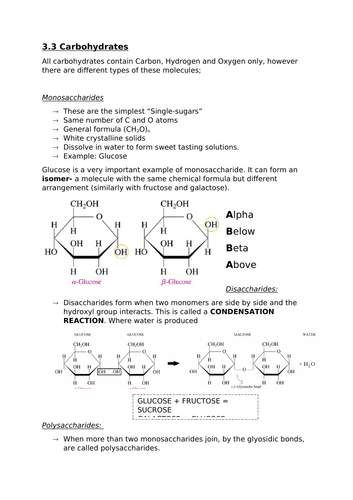 docx, 516.77 KB