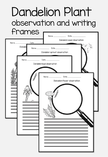 pdf, 525.34 KB