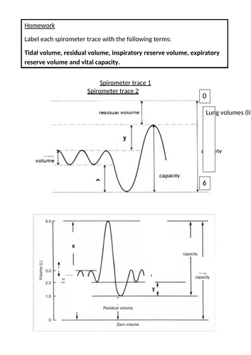 docx, 323.12 KB