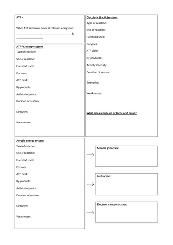 docx, 23.38 KB
