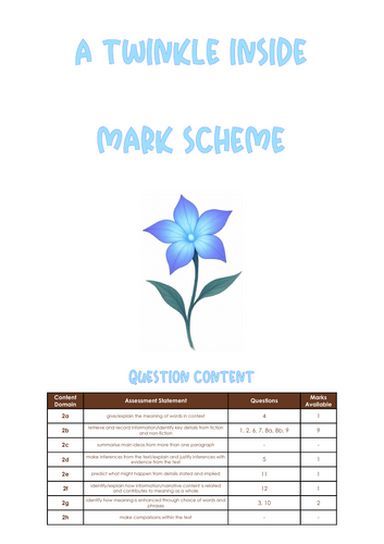 A Twinkle Inside – KS2 Reading Text & Mini Test