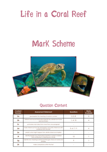 Life in a Coral Reef – KS2 Reading Text & Mini Test