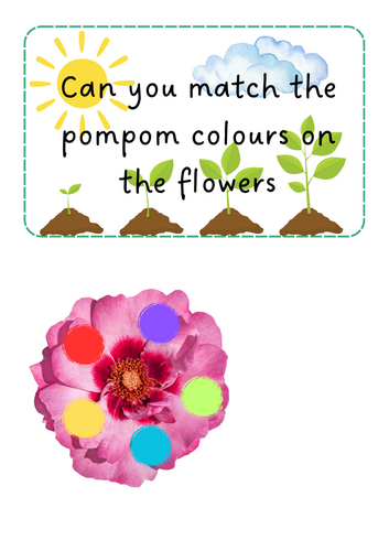 Growing / Plants - Pompom flower match