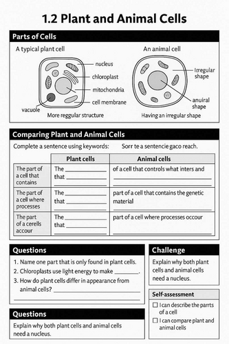 KS3 Science – Plant and Animal Cells (Lesson 1 PPT + Worksheet ...