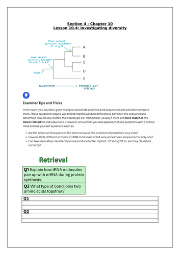 docx, 1.33 MB