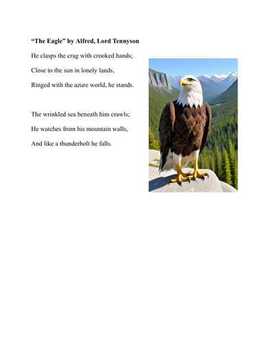 pdf, 976.55 KB