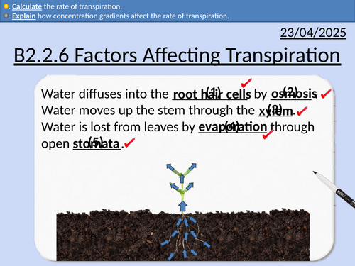 GCSE Biology: Factors Affecting Transpiration