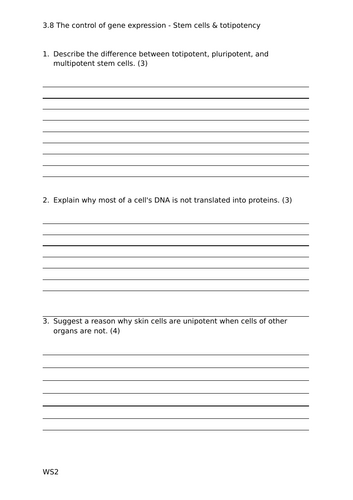 docx, 21.72 KB
