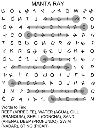 png, 343.02 KB