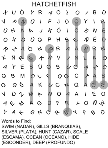 png, 374.61 KB
