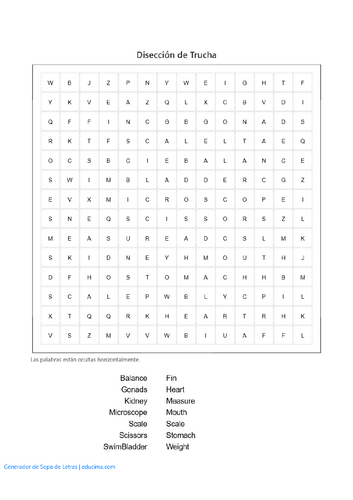 pdf, 48.1 KB