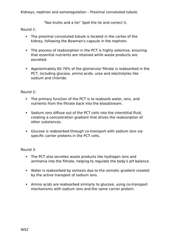 docx, 20.5 KB