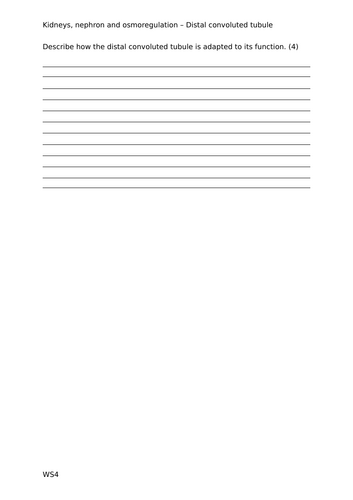 docx, 19.2 KB
