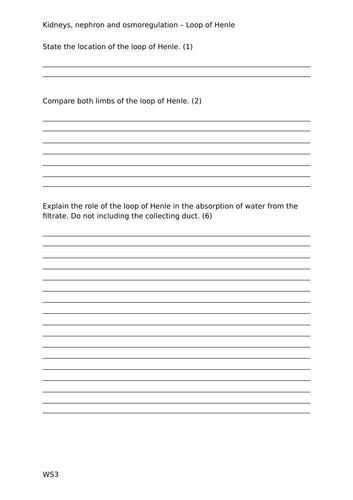 docx, 19.55 KB
