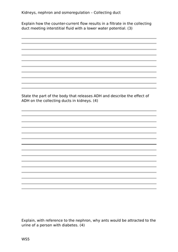docx, 19.79 KB