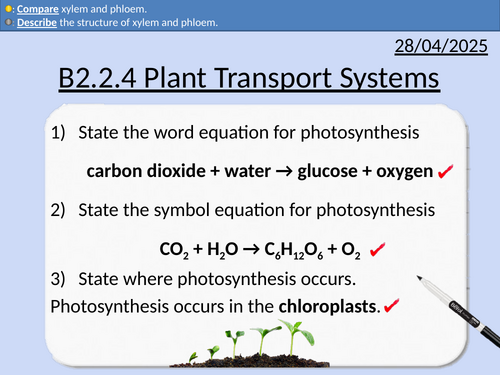 GCSE Biology: Plant Transport Systems