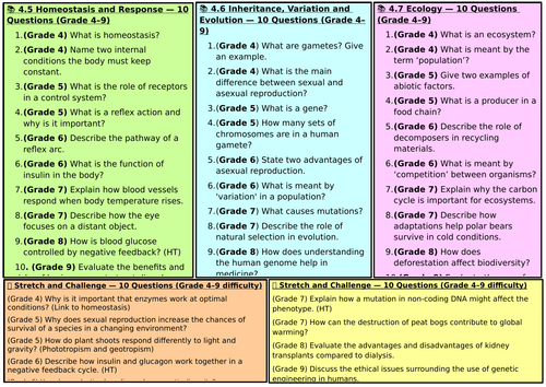 docx, 24.92 KB
