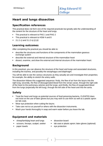 OCR A-level biology 3.1.1 Whole topic- Exchange surfaces | Teaching ...