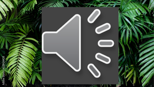 pptx, 9.37 MB