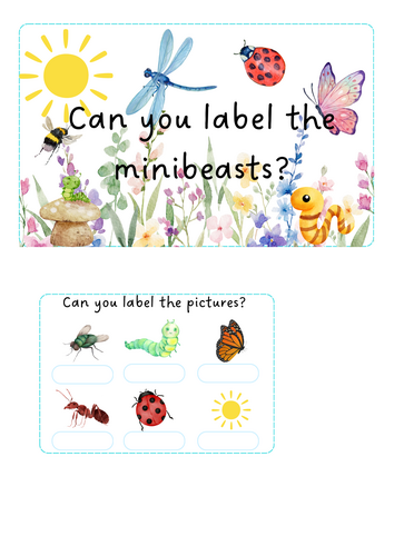 Minibeasts - Labelling