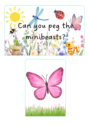 Minibeasts - peg the pictures