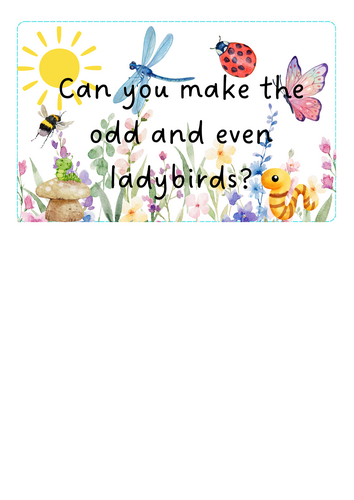 Minibeasts - odd and even ladybirds