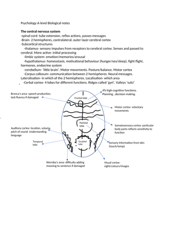 docx, 170.48 KB