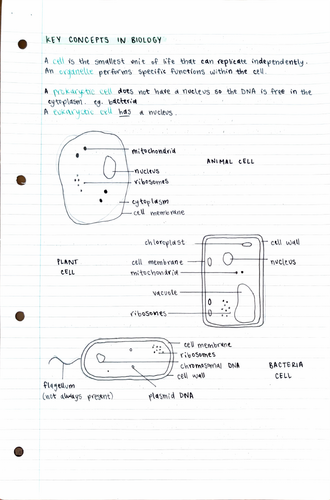 Key Concepts in Biology - Topic 1 Biology GCSE (Edexcel) | Teaching ...