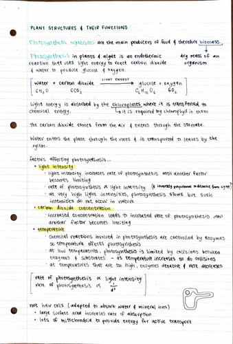 pdf, 2.57 MB