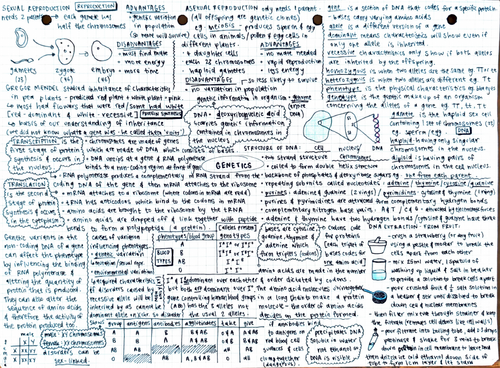 pdf, 1.16 MB