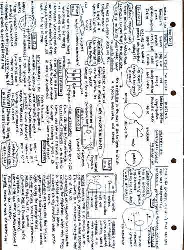 pdf, 1.05 MB