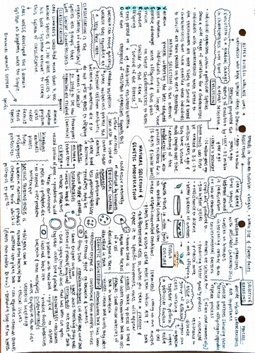 pdf, 1.04 MB