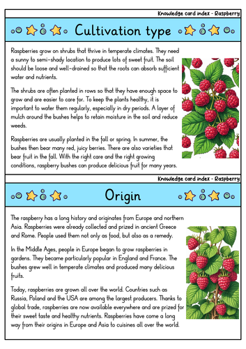 Raspberry | Biology | Delicate Berry & Antioxidant-Rich Fruit ...