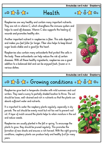 Raspberry | Biology | Delicate Berry & Antioxidant-Rich Fruit ...
