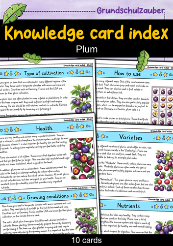 Plum | Biology | Juicy Stone Fruit & Seasonal Delight | Teaching Resources