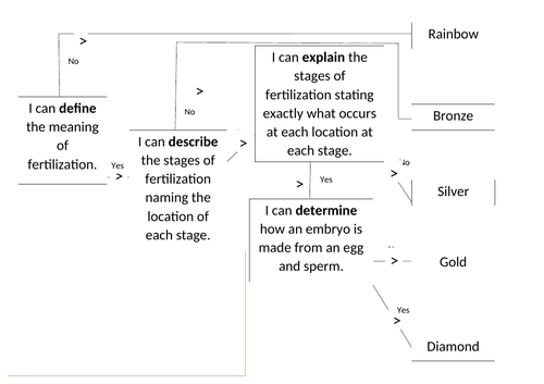Fertilisation lesson PPT and Worksheets (Reproduction topic)