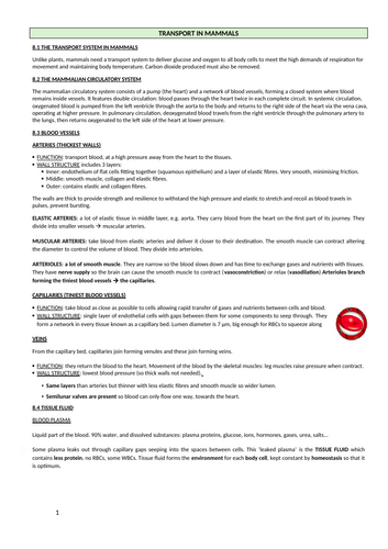 docx, 350.49 KB