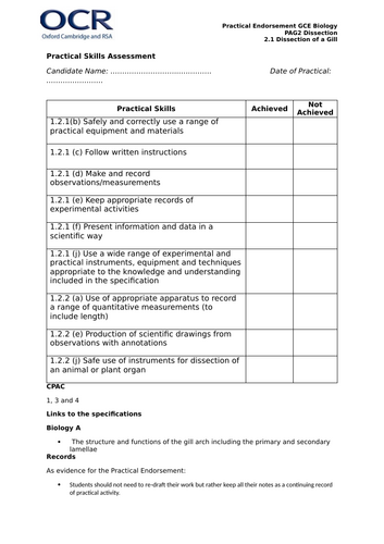 docx, 75.84 KB