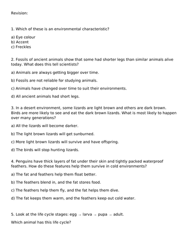 docx, 27.6 KB