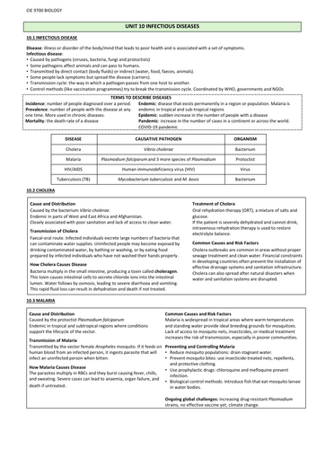 pdf, 196.75 KB