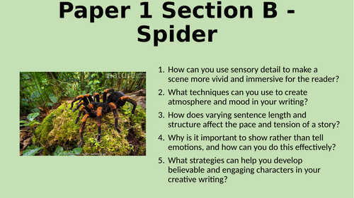 AQA English Language Paper 1 Section B - Spider Description