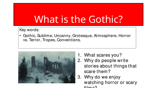 What is the Gothic?