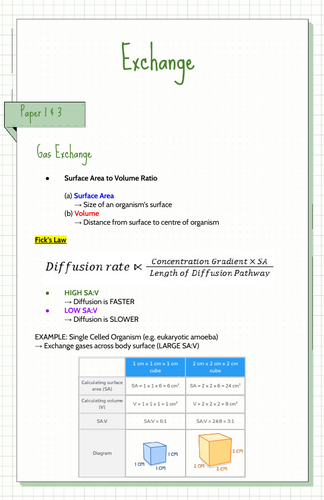 pdf, 3.06 MB