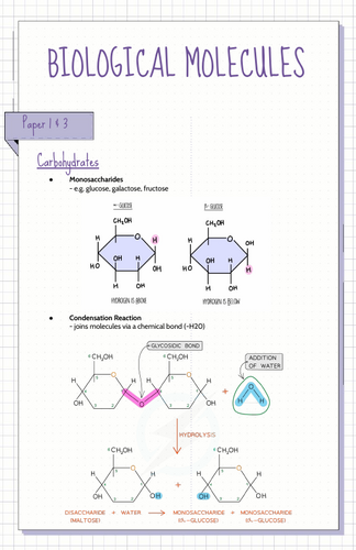 pdf, 2.66 MB