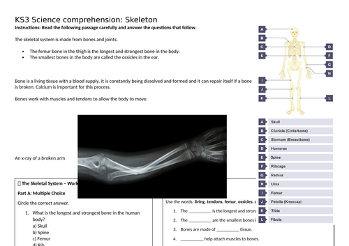 docx, 81.94 KB